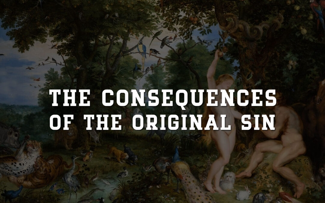 The Consequences of the Original Sin